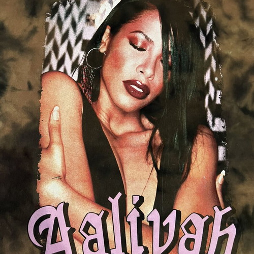 Aaliyah brown graphic T-shirt medium Y2K