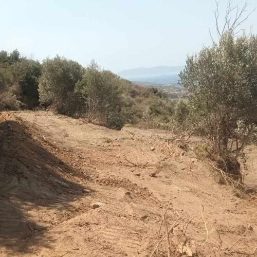 Buildable agricultural land 2,030 sqm in Mesochori Voion Laconia with view