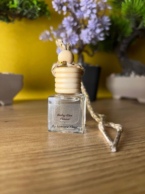 Baby Kiss car diffuser new