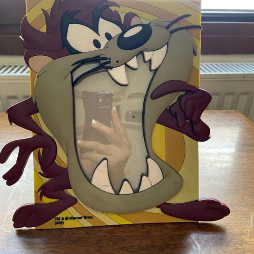 Taz children's frame used, old over 20 years