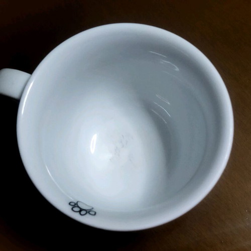 Illy Cappuccino collectible porcelain Ionia cups like new, pack of 2
