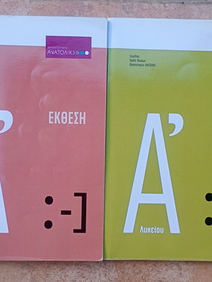 Set of 2 A' Lyceum study guides: Essay and Physics