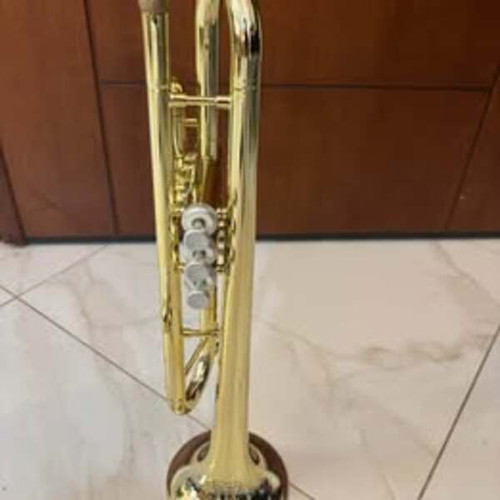 pTrumpet HyTech trumpet used, gold color with hard case and mouthpiece