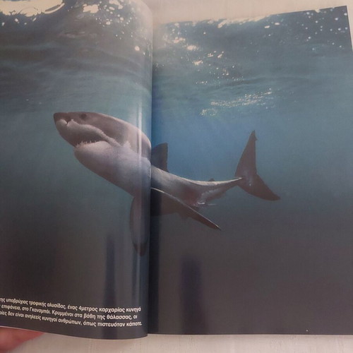 National Geographic Magazine April 2000 like new