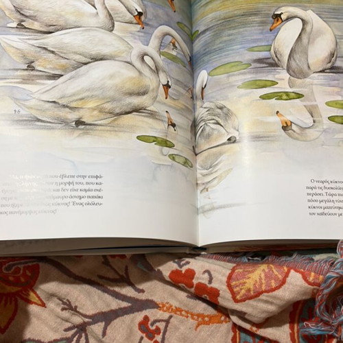 Hans Christian Andersen illustrated fairy tales book