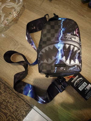 Sprayground bag