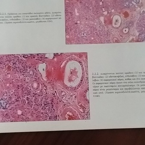 "Atlas of Histology" by the medical publications PASCHALIDIS