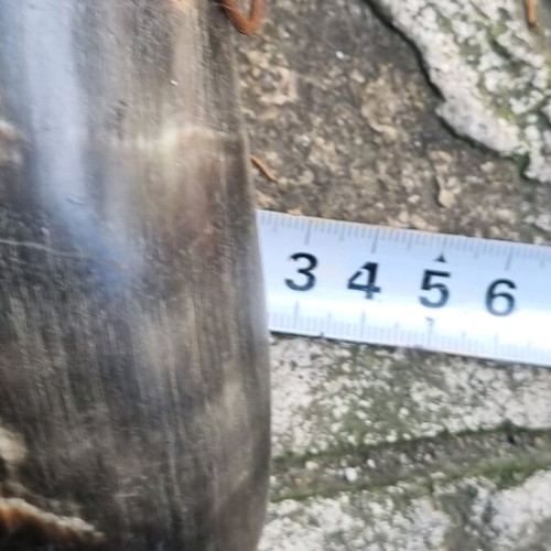 Powder flask used