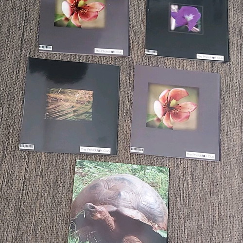 Photo albums like new, pack of 5 with flower, landscape, animal collections