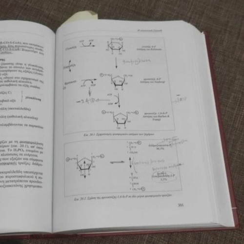 Oenology used, science and technology by Evangelos Soufleros
