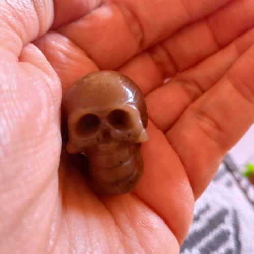 Soy wax melt new, pair skull and pumpkin