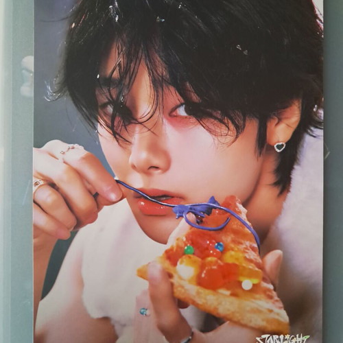 Stray Kids 2025 Season Greetings Mini Posters new, missing two members