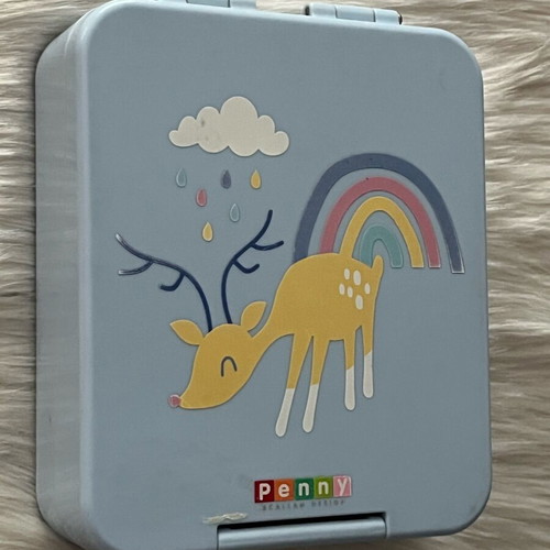 Penny Scallan children's lunchbox used, Rainbow Days design