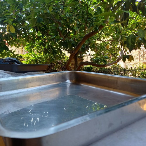 Baking tray 43×38×6 stainless steel used
