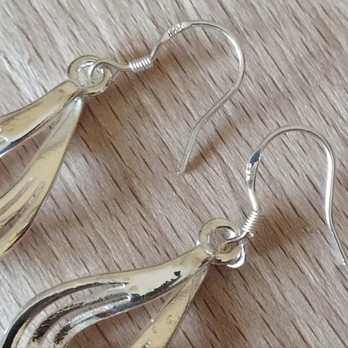 Elegance silver earrings