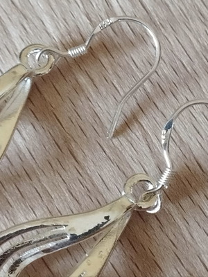 Elegance silver earrings