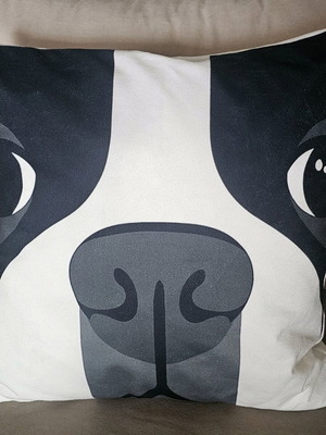 PET decorative pillow like new