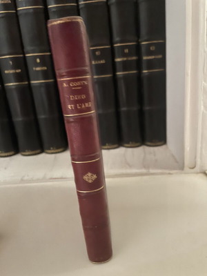 Adolphe Coste Dieu et l'Ame βιβλίο μεταχειρισμένο, γαλλικά, δερματόδετη έκδοση 1903