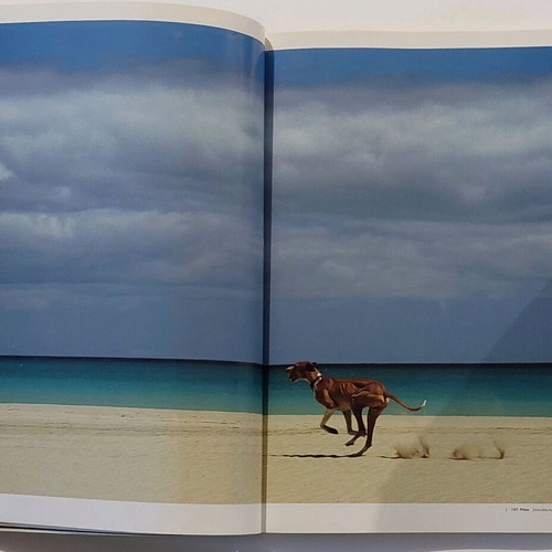 Nikon Photo Contest International 1984/85 & 1985/86 συλλεκτικά λευκώματα σαν καινούργια