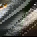  ΠΙΣΩΧΑΡΤΑ
