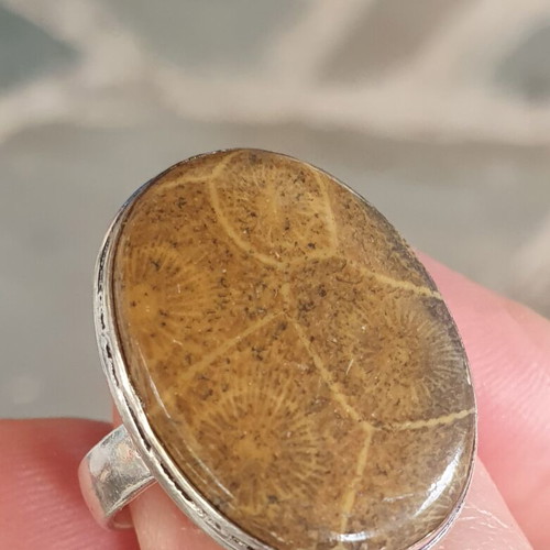 Polished Coral Fossil Ring silver plated size USA9 new