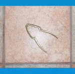 Bronze nutcracker - lobster cracker used, 17 cm length