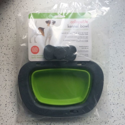 Dog and Cat Accessories New Offer