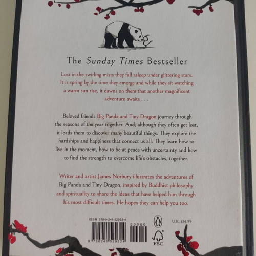 Big Panda and Tiny Dragon children's book like new, English