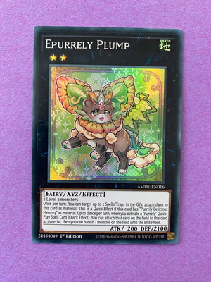 purrely purrely
