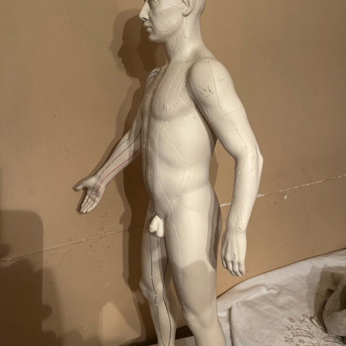 Acupuncture model like new, height 72 centimeters