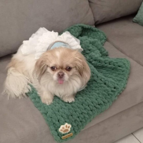 Handmade pet blanket with Alize Puffy yarn, green, made to order