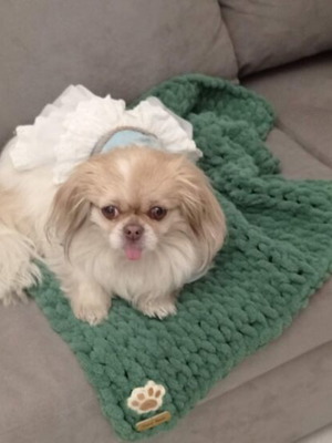 Handmade pet blanket with Alize Puffy yarn, green, made to order