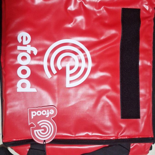 Insulated Delivery Bag efood for Pizza New