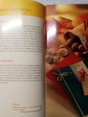 Christmas craft book new