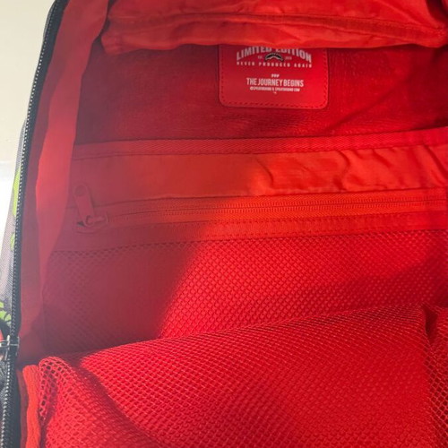 Sprayground x Nickelodeon backpack used, limited edition, red