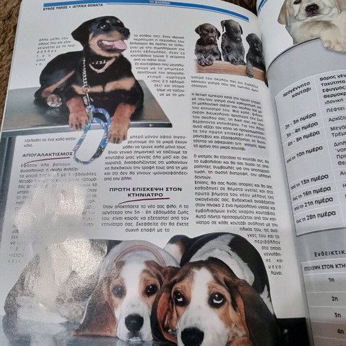 Magazine Vlemma of the half-breed and purebred like new