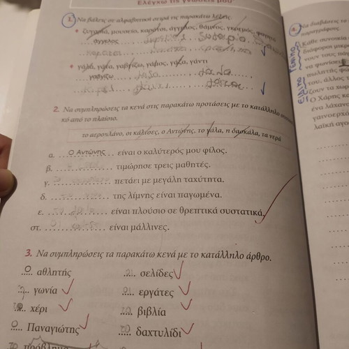 Savvalas Language School Aid Grade 3 Used