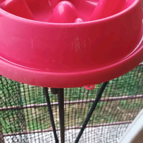 Slow feeder bowl used, medium size, fuchsia