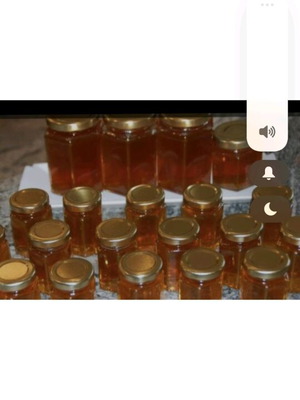 Thyme and pine honey new, 1 kg jar