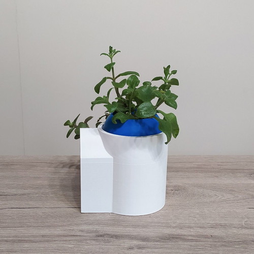 3D Printed Flowerpot with Dome New Summer Decor for Small Plants