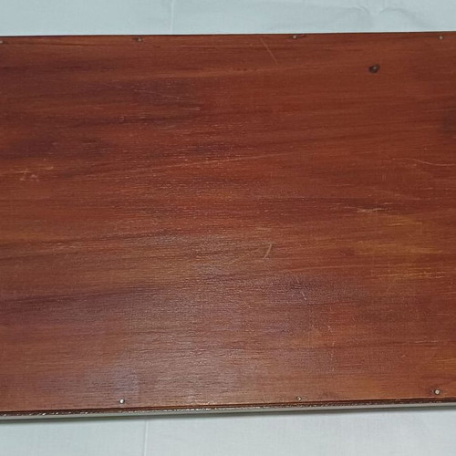 Vintage Brazilian Serving Tray with Real Butterfly Wings