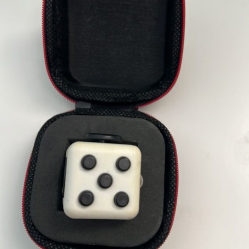 Fidget Cube used with protective carrying case, white and black