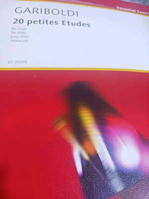 20 Petites Etudes for Flute Gariboldi new