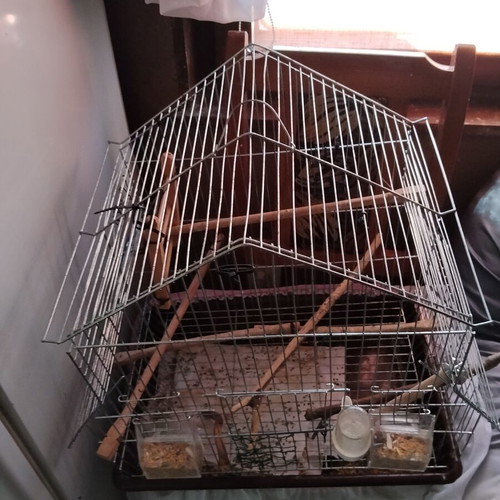 Birdcage for small and medium birds with house-shaped roof and accessories