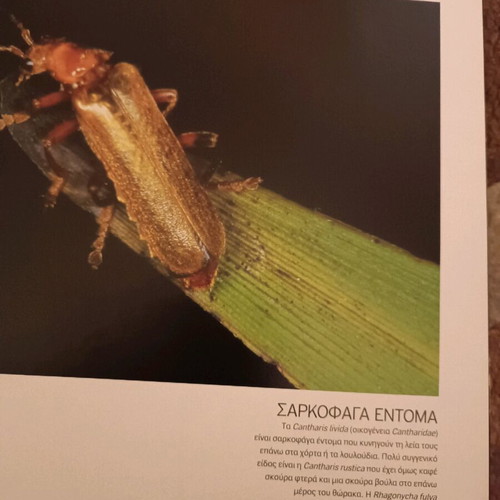 Atheatos Kosmos photo album book like new