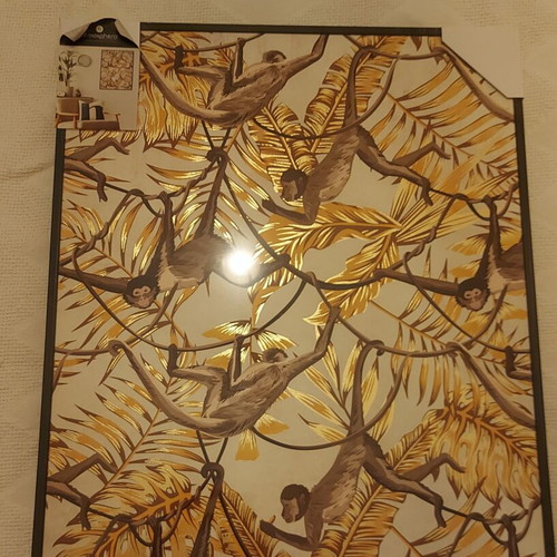 Print on canvas Toile murale imprimée et encadrée Singes 58x78 new