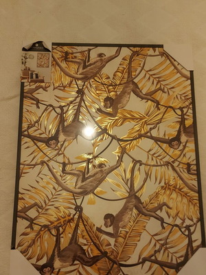 Print on canvas Toile murale imprimée et encadrée Singes 58x78 new