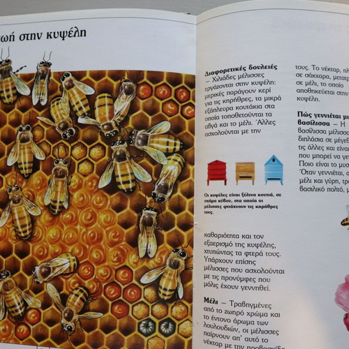 Children's Encyclopedia Animals of the Village and the City used