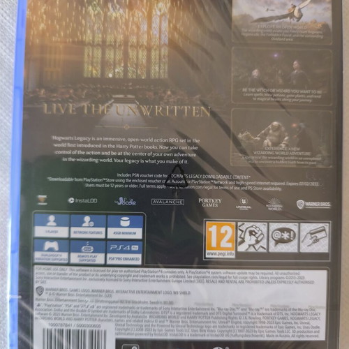Hogwarts Legacy PS4 game
