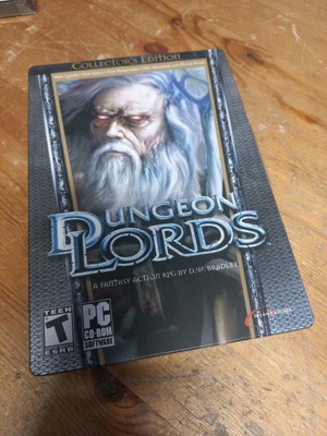 Dungeon Lords Collectors Edition Steelbook PC Game like new